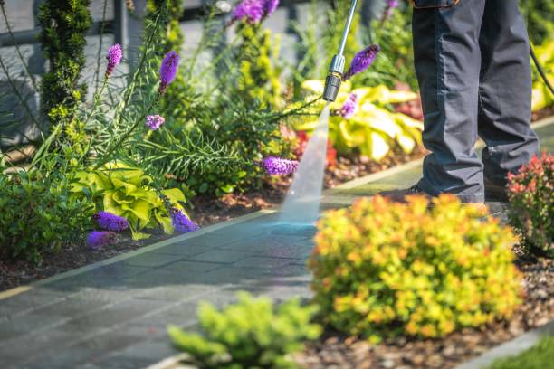 Best Winterizing Services  in Macon, MO